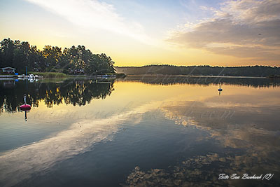 Foto av Eva Bucksch